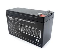 Mach Power UPS-B912 Batterie pour Groupes de continuité 12 V/9 Ah