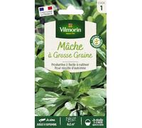 Graines - Vilmorin - Mâche à Grosse Graine