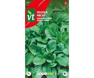 Mâche Verte de Cambrai Graines - Petites feuilles rondes vert foncé en rosettes