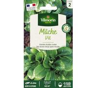 Vilmorin - Sachet graines Mâche Vit