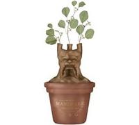 machetero Mandragore Harry Potter G