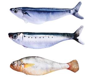 Machify Lot de 3 poissons souples rechargeables en peluche douce et réaliste pour chaton à mâcher, donner des coups de pied, jouer