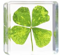 Machify Trèfle à Quatre Feuilles réel, 1,5 x 1,5 x 0,6 po, spécimen préservé dans résine Transparente, décor Porte-Bonheur, Objet de Science, Ornement à Quatre Feuilles pour Bureau