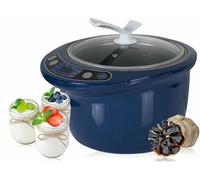 Machine à ail noire commerciale de 6 L, boîte de fermentation d'ail électrique, machine à yaourt multifonction automatique, cuiseur à faire soi-même pour fermenteur d'ail/natto/kimchi/pâte/riz