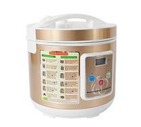 Machine à fermenter automatique à l'ail noir, 5 l, fermenteur d'ail noir, Diy
