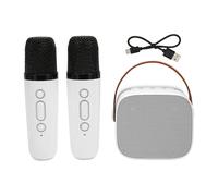 Machine à Karaoké, Son StéRéO Multifonction, Haut-Parleur Bluetooth Portable Avec 2 Microphones Sans Fil Pour FêTe à Domicile Ktv Blanc
