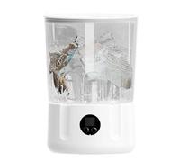 Machine à laver portable - Rousoleur compact 2L de 6,3x9,06 pouces pour nettoyage rapide, économie d'espace avec fonction de lumière bleue, mini-linge pour les chaussettes sous-vêtements Voyage RV, pl