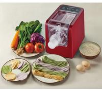Machine à pâtes 300 watts - 44 matrices - EXTRACTION VERTICALE DES NUDES N'ATTAQUE PAS Max. 900 g de farine GRATUITE KIT RAVIOLI