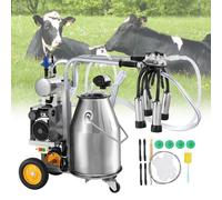 Machine à traire les vaches électrique - 25L équipement de traite en acier inoxydable 304