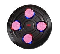 Machine de boxe intelligente - Machine de frappe de musique ABS | Double modes d'entraînement Smart Boxing Music Trainer | Machine de frappe murale avec 3 vitesses réglables | Équipement de boxe