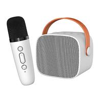 Machine de karaoké Portable, Haut-Parleur Bluetooth Rétro avec Son Surround HiFi avec Micro karaoké Portable, pour Enfants et Adultes, Fête d'anniversaire (Blanc)
