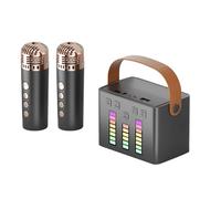 Machine de karaoké pour Adultes, Machine de karaoké Portable,Microphones sans Fil | Machines à karaoké, Haut-Parleur Portable, Microphone sans Fil pour fête à Domicile