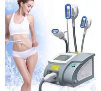 Machine de lipolyse Amincissante pour Le Corps par cryolipolyse, Masseur d'élimination Cellulite, Body Cryo Fat Freeze pour Mise en Forme du Corps,pour Levage de Visage Amincissant Le Corps