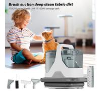 Machine de nettoyage pour tapis et tissus d'ameublement, canapé de voiture pulvérisation de poils d'animaux aspiration tapisserie