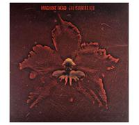 Machine Head - Burning Red (180 gm Vinyl)