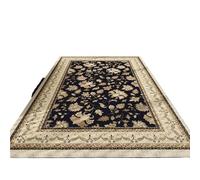 Machine Washable Living Room Carpet Vintage Rug Large Size Decorative Carpets Easy Fold Balcony Rugs(Color6,100x150cm)