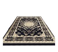 Machine Washable Living Room Carpet Vintage Rug Large Size Decorative Carpets Easy Fold Balcony Rugs(Color5,100x150cm)
