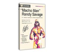 Macho Man Randy Savage Poster sur toile pour chambre à coucher, bureau, chambre, cadeau 20 x 30 cm