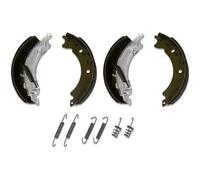 Machoires pour essieu KNOTT 200x50 avec ressorts - remplacements