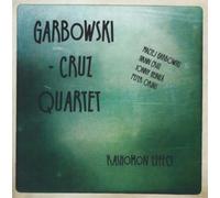 Maciej Garbowski - Rashomon Effect