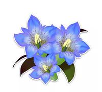 MACMRD Voiture Autocollant 14 * 12.5Cm Attrayant Fleur De Gentiane Bleue Autocollant Accessoires De Voiture Autocollant
