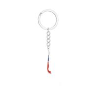Macracrua Porte-clés carte du Chili - Pendentif en acier inoxydable avec drapeau national, souvenir pour la diaspora, les voyageurs et les fiers chiliens, Argenté, taille unique