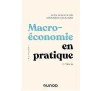 Macroéconomie en pratique Moïse Sidiropoulos (Auteur), Aristomène Varoudakis (Auteur)