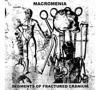 Macromenia - Segments of Fractured Cranium