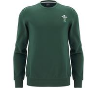 Macron Wales Rugby Sweatshirt 2025 Adults Vert Petit Male