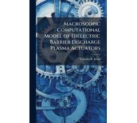 Macroscopic Computational Model of Dielectric Barrier Discharge Plasma Actuators