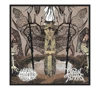 Macula Extinction Remains: Split [CD]