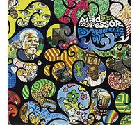 Mad Professor - Psychedelic Dub 10 [Import]