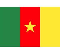 MadAboutFlags Drapeau Cameroun - 150 x 90 cm