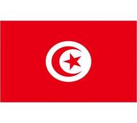 MadAboutFlags Drapeau Tunisie - 150 x 90 cm