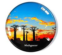 Madagascar Aimant de réfrigérateur réfrigérateur congélateur aimant souvenir décoration aimant autocollant verre artisanat