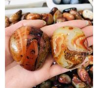 Madagascar Brown Agate Crystal Tumbled Stone Agate Ornaments Home Decor(1pc)