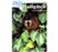 Madagascar G