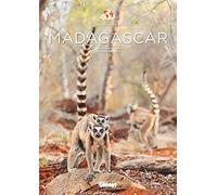 Madagascar - Les clés pour bien voyager