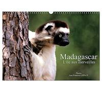 Madagascar L'île aux merveilles (Calendrier mural 2026 DIN A3 horizontal), CALVENDO calendrier mensuel
