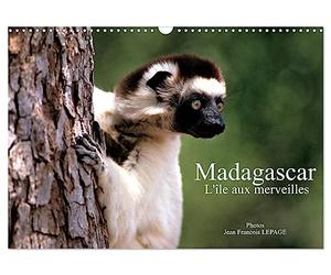 Madagascar L'île aux merveilles (Calendrier mural 2027 DIN A3 vertical), CALVENDO calendrier mensuel: Scènes de vie malgache