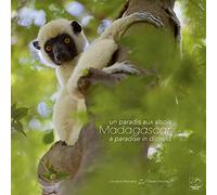Madagascar, un paradis aux abois