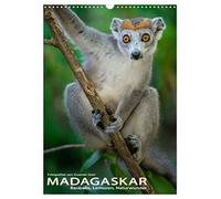 MADAGASKAR: Baobabs, Lemuren, Naturwunder (Wandkalender 2026 DIN A3 hoch), CALVENDO Monatskalender: Baobabs, Lemuren, Chamäleons und grandiose ... wird oft als der 6. Kontinent bezeichnet.