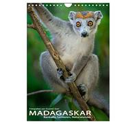 MADAGASKAR: Baobabs, Lemuren, Naturwunder (Wandkalender 2026 DIN A4 hoch), CALVENDO Monatskalender: Baobabs, Lemuren, Chamäleons und grandiose ... wird oft als der 6. Kontinent bezeichnet.