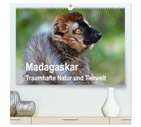 Madagaskar. Traumhafte Natur und Tierwelt (hochwertiger Premium Wandkalender 2026 DIN A2 quer), Kunstdruck in Hochglanz: Naturparadies Madagaskar mit endemischen Tieren und einzigartigen Landschaften.
