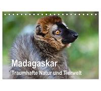 Madagaskar. Traumhafte Natur und Tierwelt (Tischkalender 2026 DIN A5 quer), CALVENDO Monatskalender: Naturparadies Madagaskar mit endemischen Tieren und einzigartigen Landschaften.