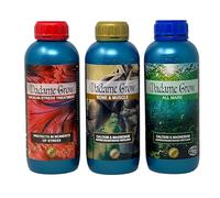 Madame Grow - Engrais Concentré pour la Croissance et la Floraison - Efficace sur Tous Types de Plantes - 3 x 1 L