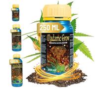 MADAME GROW Growth Accelerator 250ml - Stimulateur Racines et Croissance | Biostimulant 2 en 1 : azote et acides aminés pour racines blanches et fortes, tiges vigoureuses. Terre, coco, hydroponie.