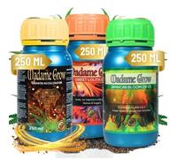 MADAME GROW - Kit de croissance de base pour la nutrition et la floraison des plantes saines avec des engrais naturels (3x250 ml).