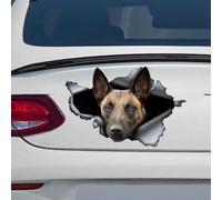 Madcolitote Autocollant 3D en vinyle pour voiture, motif malinois belge, 25,4 cm