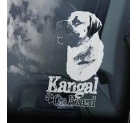 Madcolitote Autocollant pour fenêtre de voiture Kangal on Board - Motif chien turc Sivas - En vinyle - Personnalisable